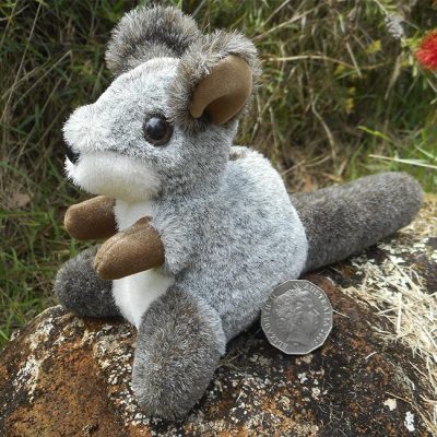Brush-tailed Rock-wallaby - Soft Toy